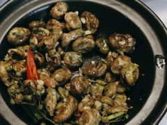蚕豆煲-丰收日(五角场店)