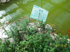 北京观光南瓜园&nbsp;(51)-观光南瓜园