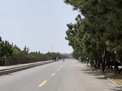 -浮来山风景区