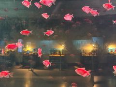 -海合安武汉极地海洋公园