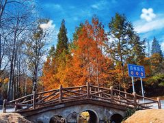 -白水寺森林公园