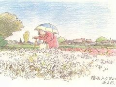 -八哥美术·成人美术画室(总校区)