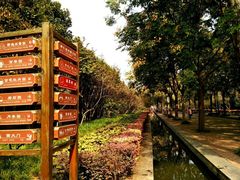 -洛阳市隋唐城遗址植物园