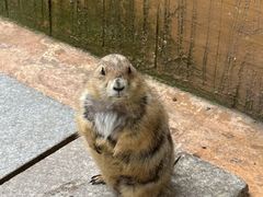 -杭州野生动物世界