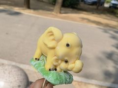 -秦皇岛野生动物园