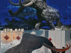 -中国第四纪冰川遗迹陈列馆
