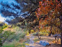 -国家植物园南园