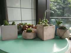 -蜜蜂小象·榴莲千层蛋糕(时代汇11栋店)