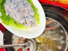 -花苑美食横琴生蚝火锅(拱北粤华路店)