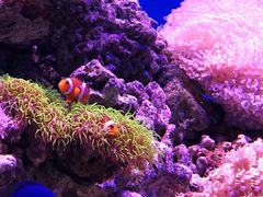 -海合安武汉极地海洋公园