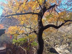 -苍岩山风景名胜区