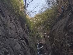-伏羲山旅游区