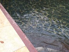 -龙达温泉生态城
