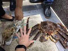 -蚝专家(北滘店)