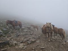 -灵山