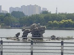 -大兴滨河森林公园