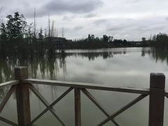 -白鹭湾湿地公园