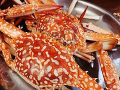 -船奇蒸汽海鲜·闽菜(八市海鲜总店)