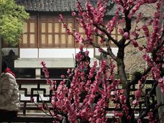 -郭庄景区