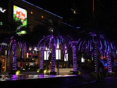 -深圳龙华星河COCO City(民治店)