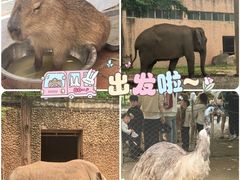 -南昌动物园