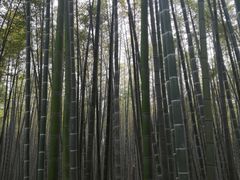 -同里国家湿地公园