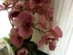 -楚禾宴·家宴(光谷大道店)