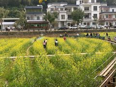 -红山村