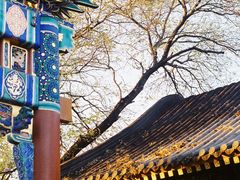 -北京国子监胡同