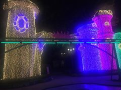 -南湖梦幻岛