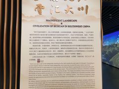 -四川大学博物馆