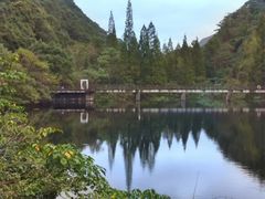 -天明山温泉大酒店