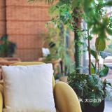 躺赢鸭拿铁,今天你躺平了吗?☕️