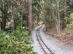 小火车-可伦宾野生动物保护区