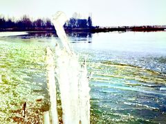 -野鸭湖国家湿地公园