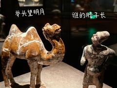 -大同市博物馆