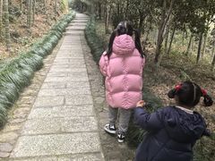 -东明山森林公园