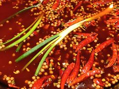 -蜀大侠火锅(建设路第五大道店)