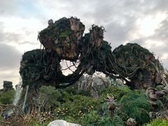 -奥兰多迪士尼动物王国乐园