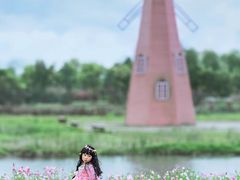 -三垟湿地