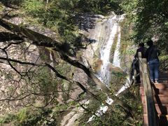 -内乡宝天曼生态旅游区