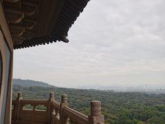 -灵谷景区