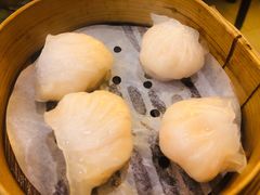 晶莹鲜虾饺-添好运点心专门店(深水埗店)