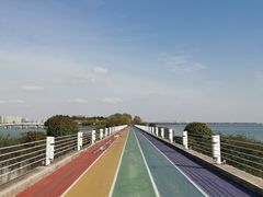 -贡湖湾湿地公园