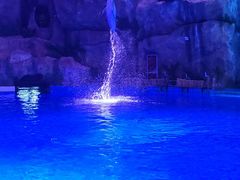 -芜湖新华联大白鲸海洋公园