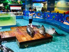 -锦艺城海洋馆