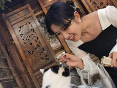 -喵屿·大理花园猫咖