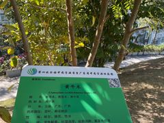 -广东中医药博物馆