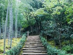 -常寂光寺