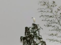 -南京市无想山景区